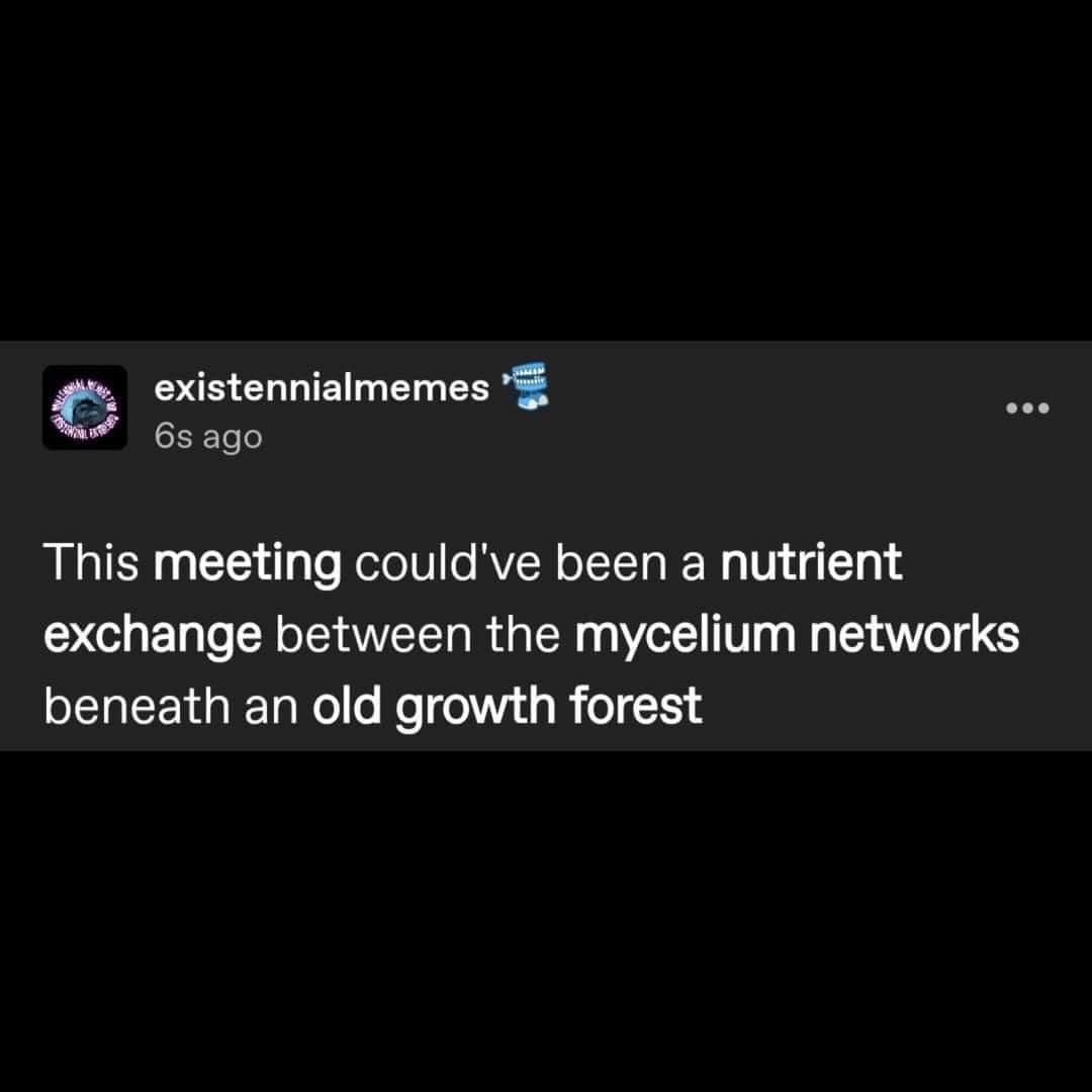 This meme is a humorous take on the concept of a meeting where everyone is too focused on their own work to engage with others. The text reads, "This meeting could've been a nutrient exchange between the mycelium networks beneath an old growth forest." The idea is that instead of a meeting, it could have been a chance for the mycelium networks to exchange nutrients, which is a clever and humorous way to poke fun at the idea of a meeting.